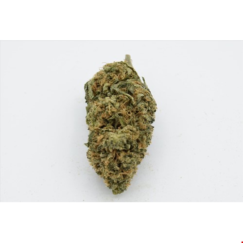 Campfire Cookies (Hybrid) - SALE 1 OZ $85